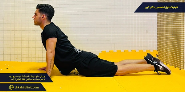 Exercise-lumbar-disc